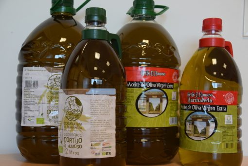 Foto de 4 garrafas de aceite de oliva virgen extra de Marinaleda